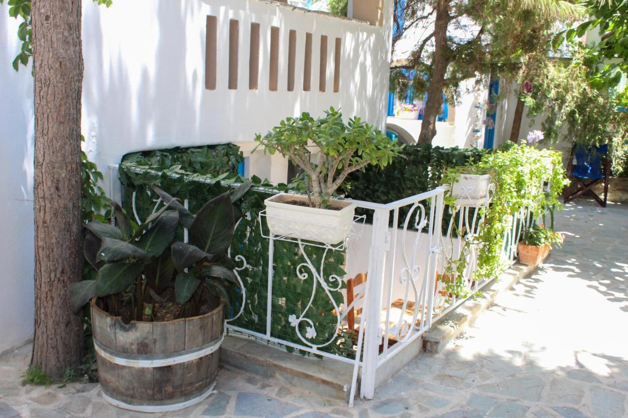 Sea View Apartments & Studios Agia Anna (Naxos) Exterior photo