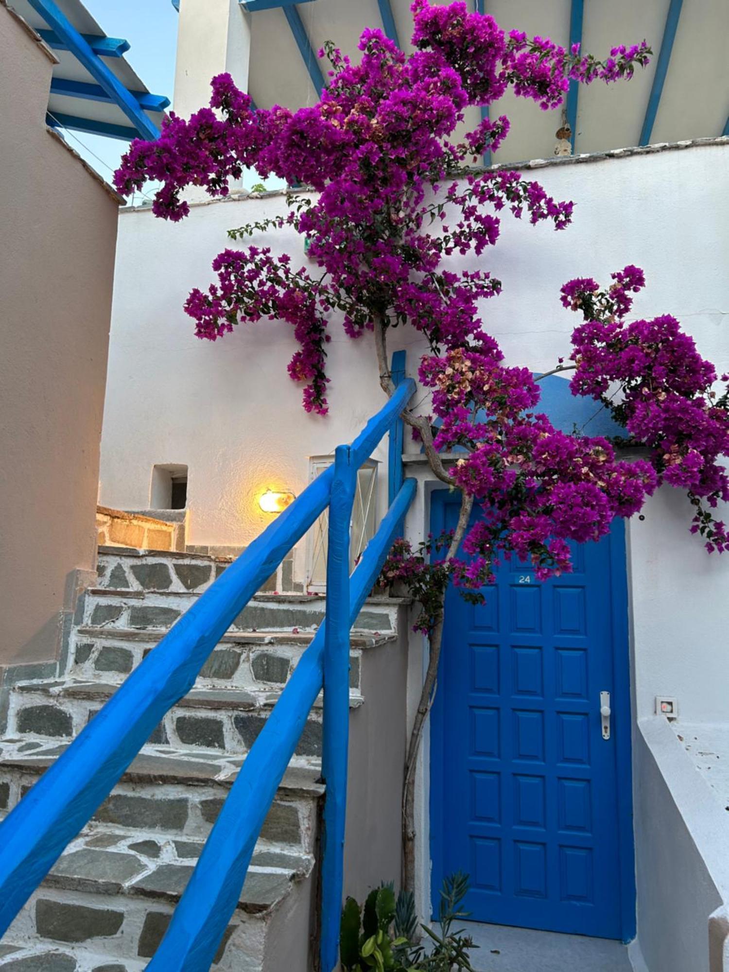 Sea View Apartments & Studios Agia Anna (Naxos) Exterior photo